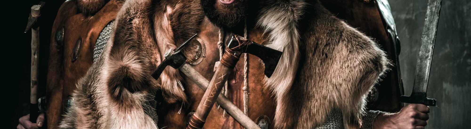 Des Vikings - © Nejron