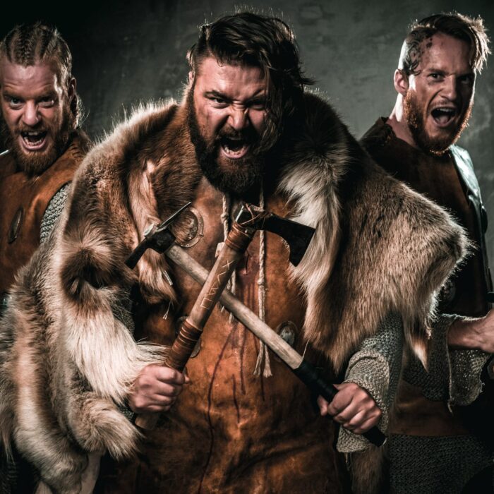 Des Vikings - © Nejron