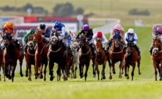 Le Curragh Horse - ©INPHO/Donall Farmer