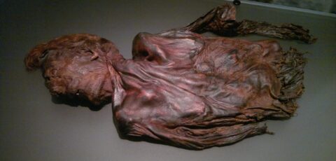 Homme de Clonycavan - Mark Healey - cc