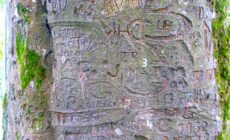 L'arbre autographe du Coole Park - IrishFireside - cc