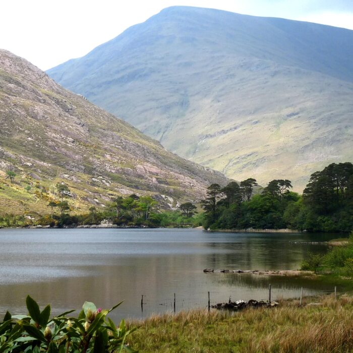 Le Delphi Pass - michael clarke stuff - cc