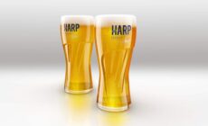Des pintes de Harp