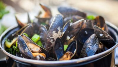 Des moules irlandaises - © Darren Baker