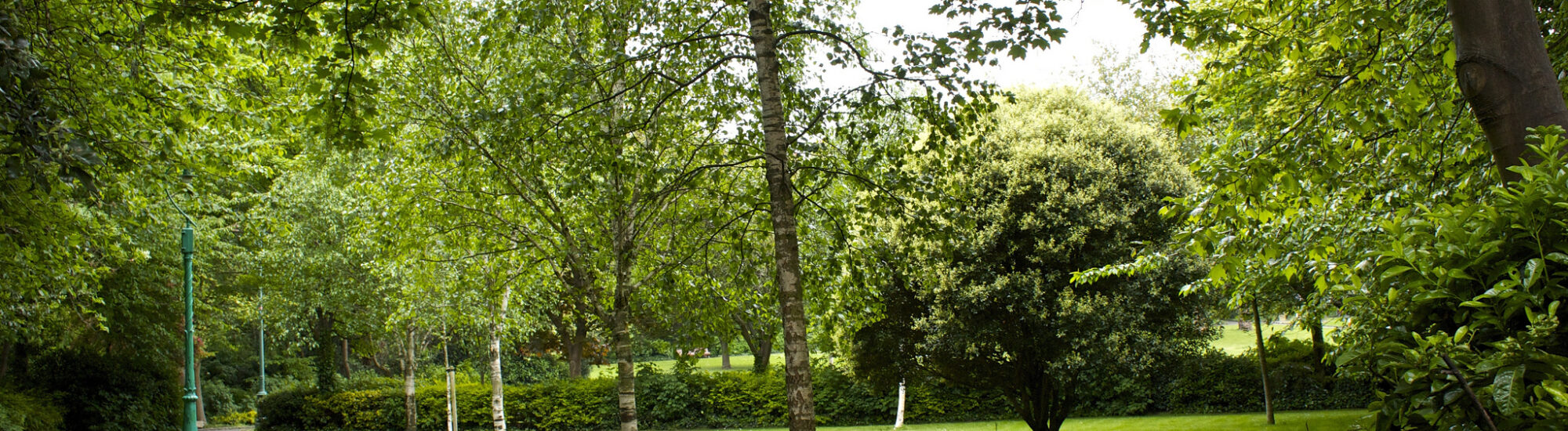 Merrion Square - Neil Turner - cc