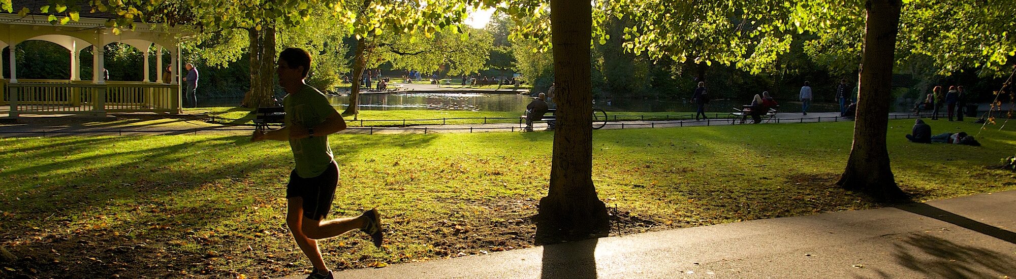 Stephen's Green - Michael Foley - cc