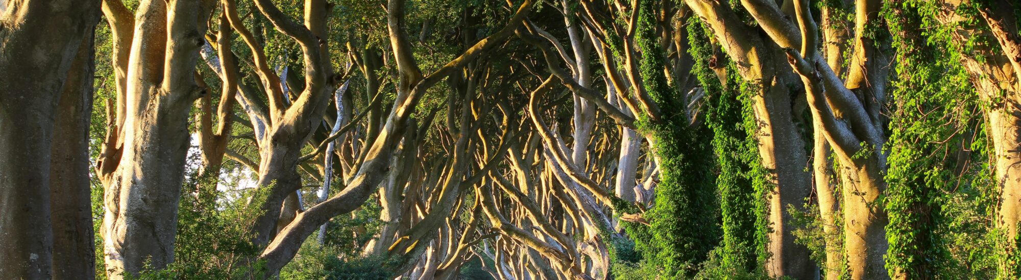 Game of Thrones en Irlande
