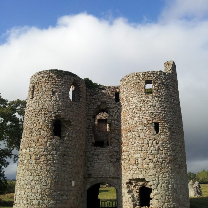 Le Ballyloughan Castle - VisionsofthePast - cc