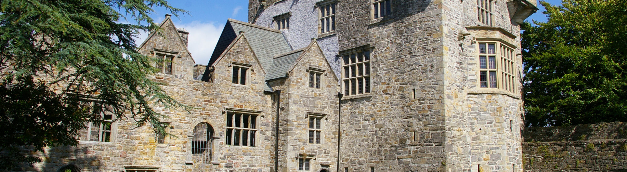 Le Donegal Castle - Hec Tate - cc