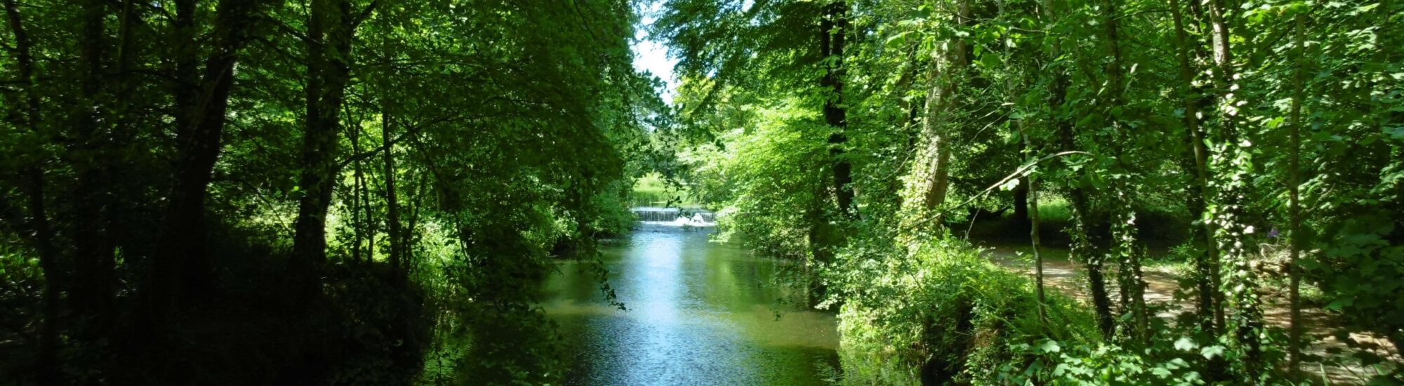 Le Doneraile Wildlife Park