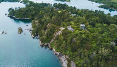 Garinish Island - © timursalikhov 