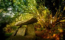 Le dolmen de Gaulstown - © Yggdrasill