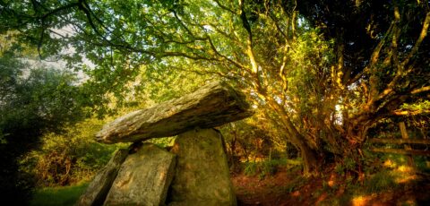 Le dolmen de Gaulstown - © Yggdrasill