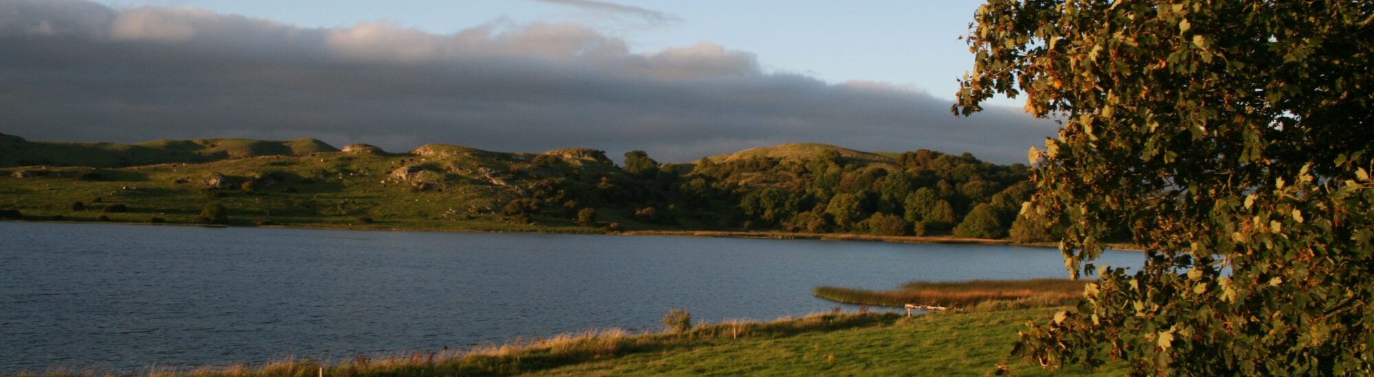 Le Lough Gur - Ballyhoura Failte - cc
