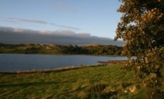 Le Lough Gur - Ballyhoura Failte - cc