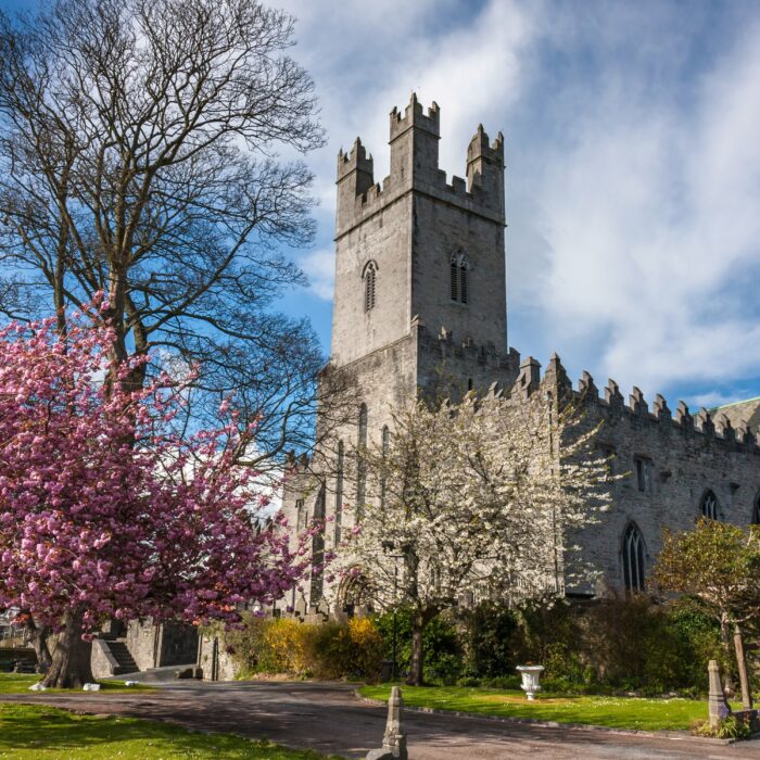 La St Mary’s Cathedral de Limerick - © peteleclerc