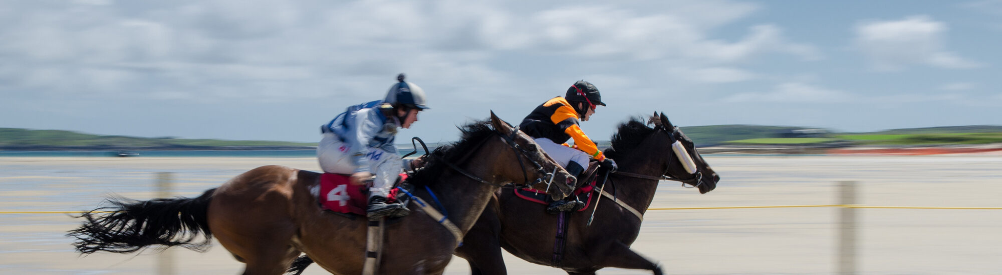 Festivals d'équitation