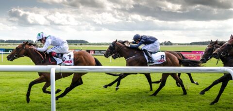 Une course hippique en Irlande - Florian Christoph - cc