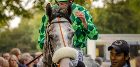 Un cavalier et son cheval à Leopardstown - Florian Christoph - cc