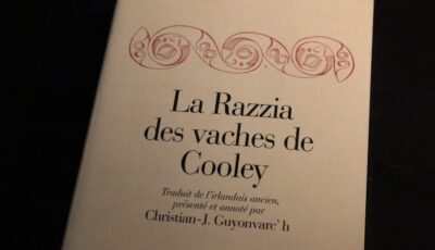 La Razzia des Vaches de Cooley - Guide Irlande.com