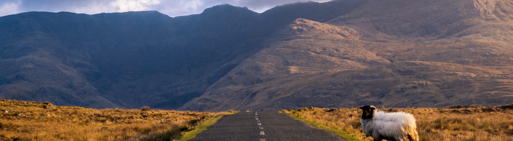 Louer une voiture en Irlande