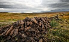 De la tourbe en Irlande - © Aurelien