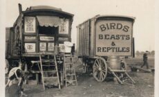 Roulottes de travellers - Tyne & Wear Archives & Museums - cc