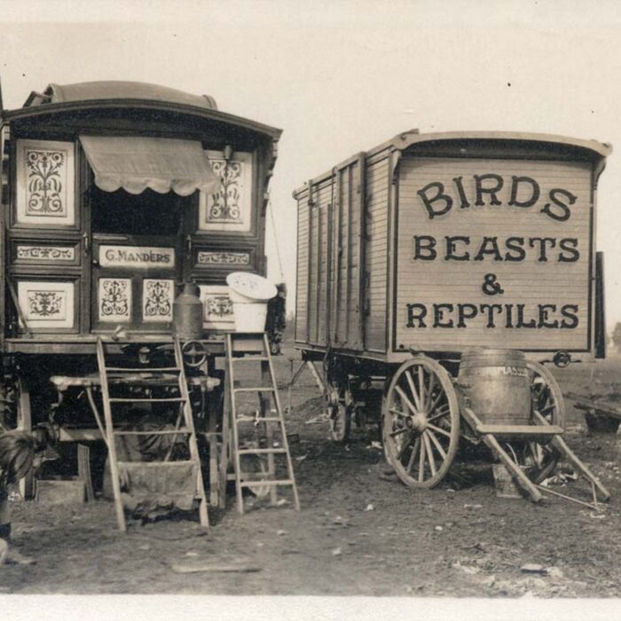 Roulottes de travellers - Tyne & Wear Archives & Museums - cc