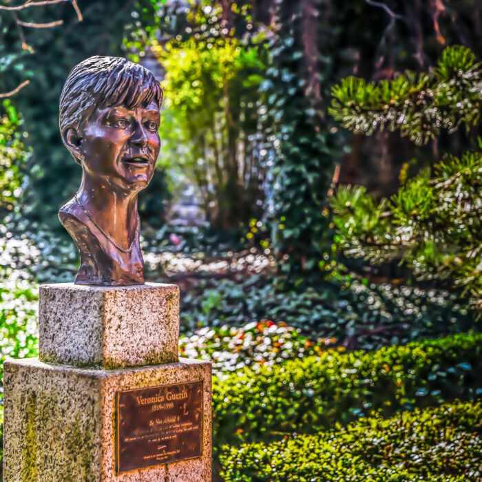 Veronica Guerin - William Murphy - cc