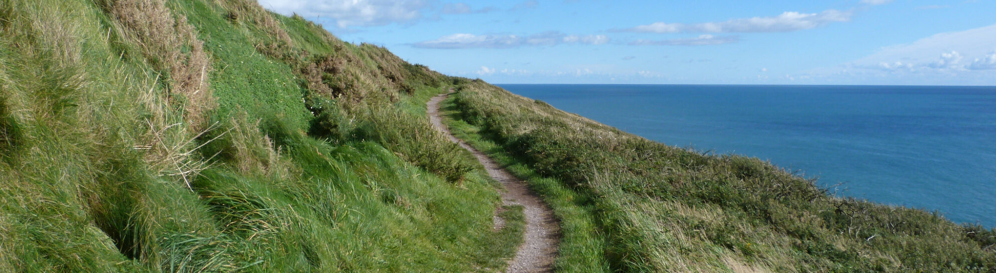 Le Ballycotton Cliff Walk – elainescottie – cc