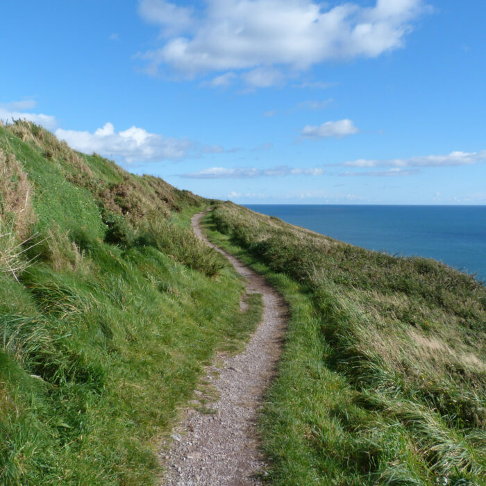 Le Ballycotton Cliff Walk – elainescottie – cc