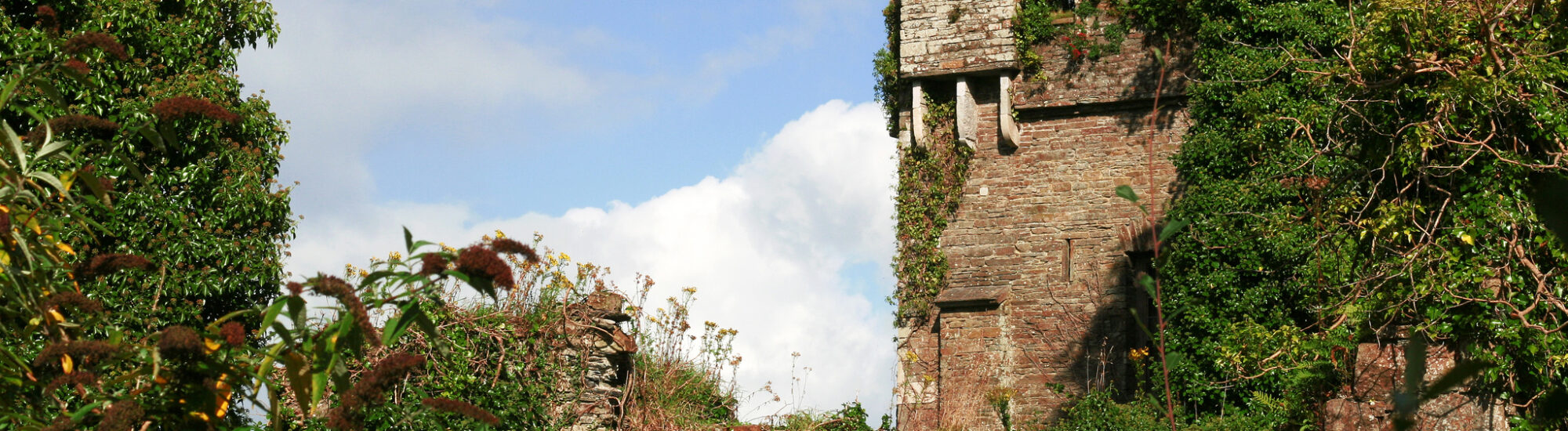 Le Castle Bernard - <a href=