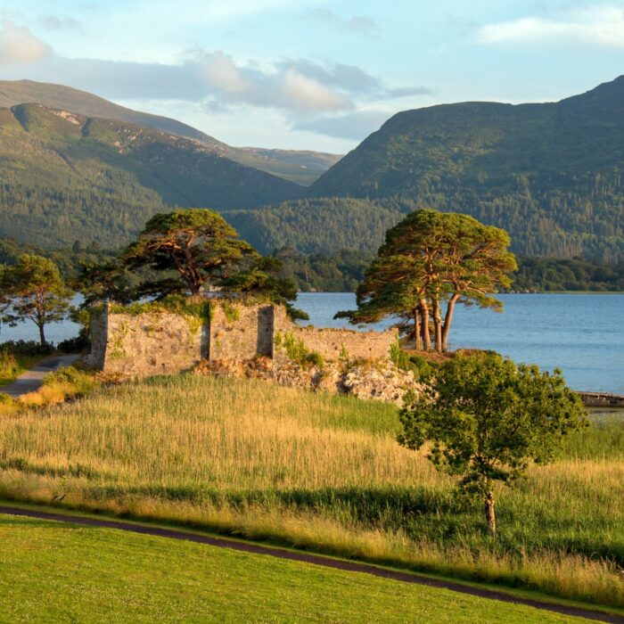 Le McCarthy's Castle - © htrnr