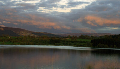 Blessington Lakes - john cahill - cc