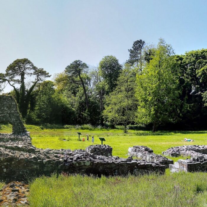 La Grey Abbey - BangorArt - cc