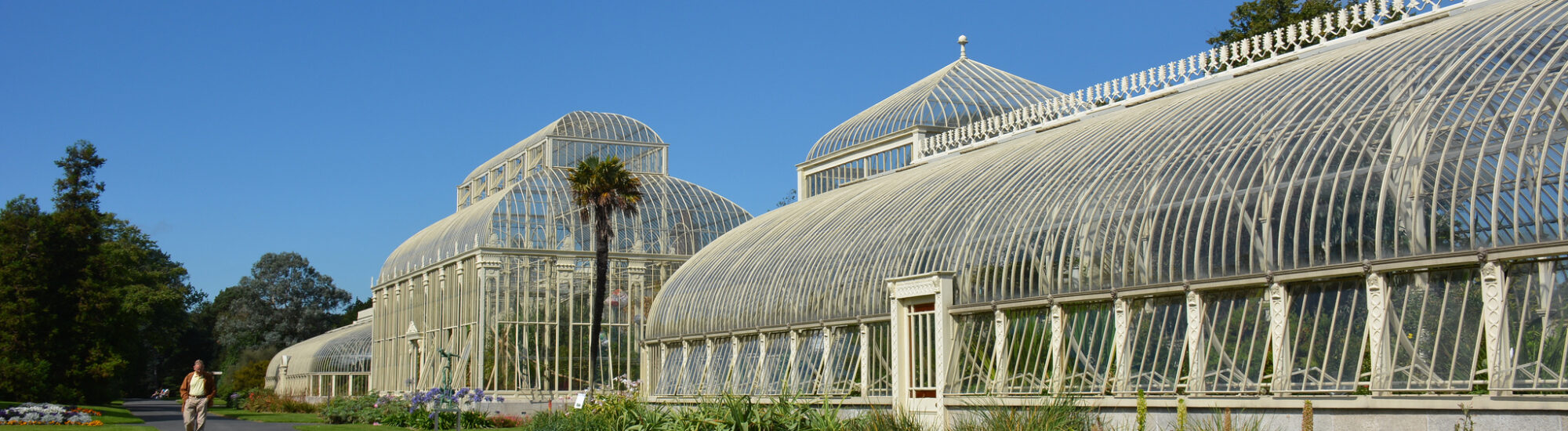 Le National Botanic gardens de Glasnevin - Simon - cc