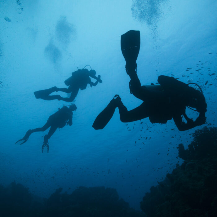 Plongée sous-marine - Malcolm Browne - cc