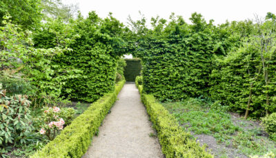 Altamont Gardens - Sean Rowe - cc
