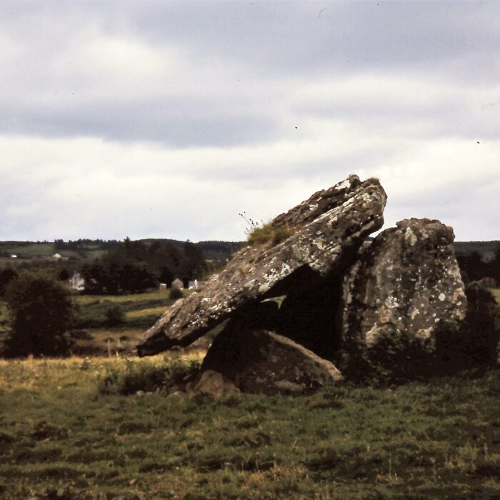 Le Dolmen Drumanone - Wanfried-Dublin - cc