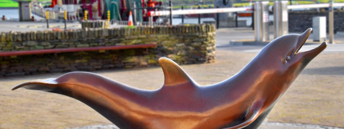 Fungie, le dauphin de Dingle serait le plus vieux dauphin solitaire du Monde !