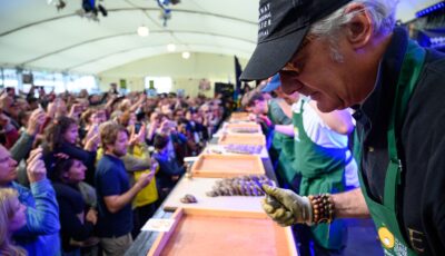 Galway International Oyster Festival - www.galwayoysterfestival.com