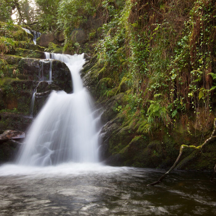 La O'Sullivan Cascade - Michael Foley - CC