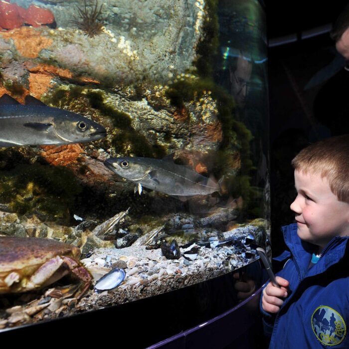 Le Riverwatch Aquarium - https://discovernorthernireland.com