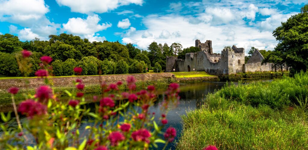 Le Desmond castle - © Lyd Photography
