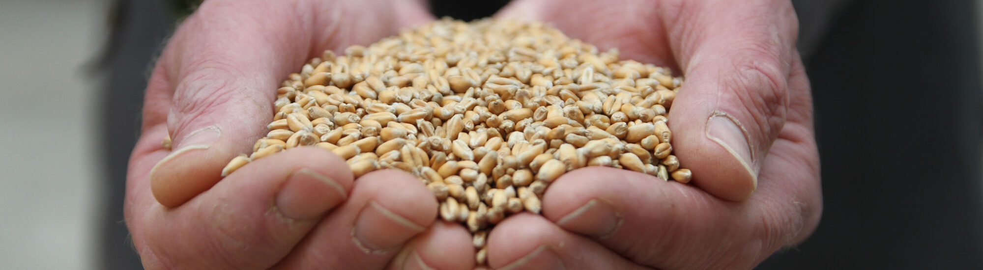 Aidez les agriculteurs locaux ! - Rural Matters - cc