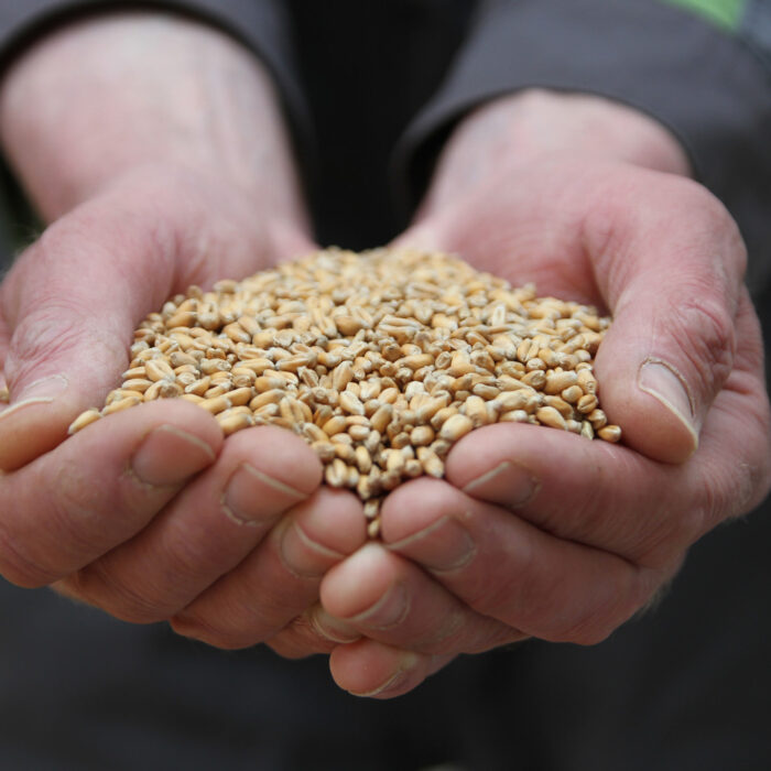 Aidez les agriculteurs locaux ! - Rural Matters - cc
