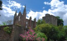 lA Selskar abbey - Nicola Barnett - cc