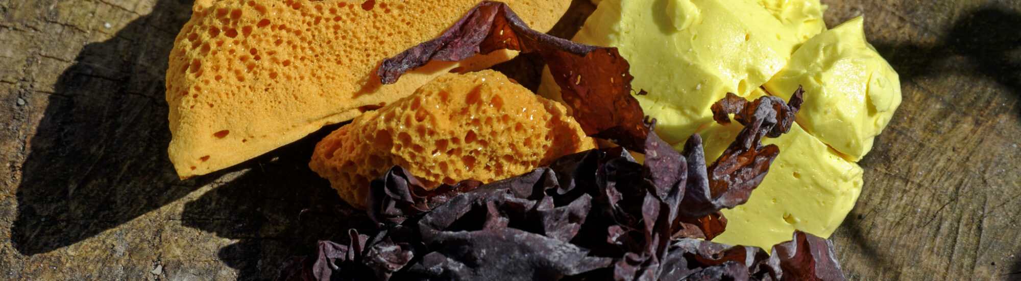 Du yellowman avec de la dulse et un nid d'abeille - philip hay - cc