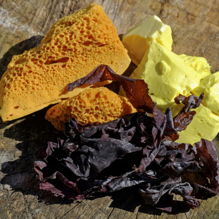 Du yellowman avec de la dulse et un nid d'abeille - philip hay - cc