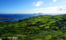 L'Anneau du Kerry - © franziskahoppe